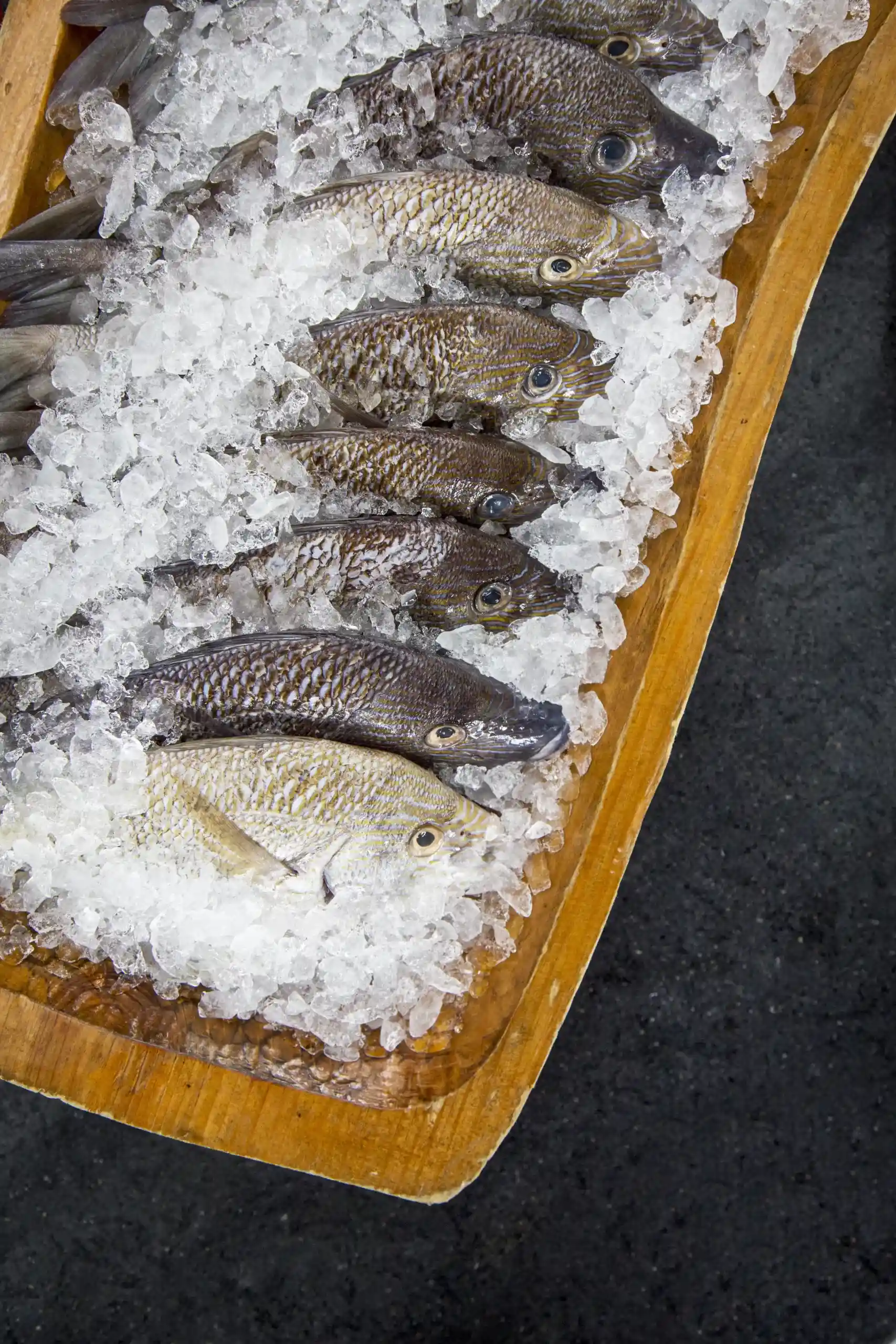 Fresh catch on ice &mdash; the standard San Evaristo’s fishermen must currently drive 100+ miles to reach